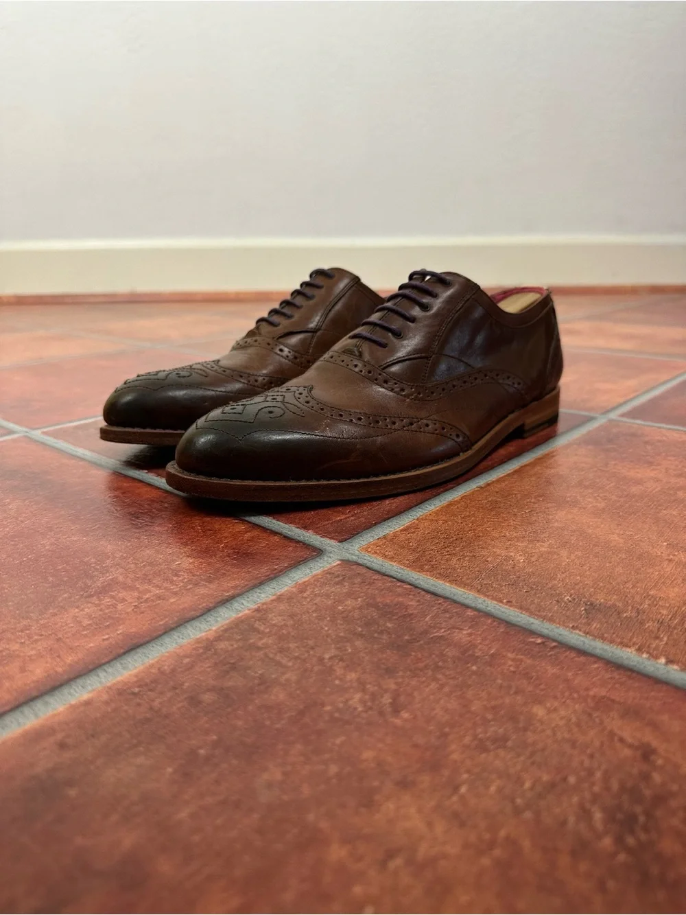 Ted Baker Men's Wingtip Leather Derbys with Brogue Detail and Pink Interior